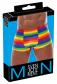 Herren Pants Regenbogen S